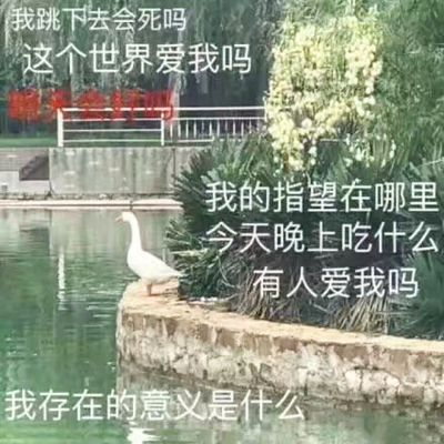 我跳下去会死吗？这个世界爱我吗？