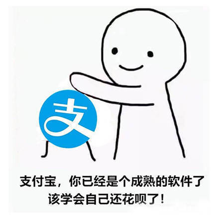 支付宝，你已经是个成熟的软件了该学会自己还花呗了！