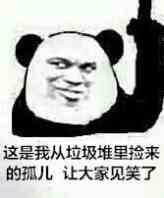 这是我从垃圾堆里捡来的孤儿，让大家见笑了