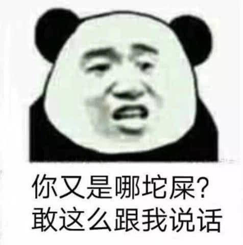 你又是哪坨屎？敢这么和我说话