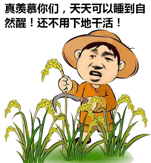 真羡慕你们，天天可以睡到自然醒！还不用下地干活！