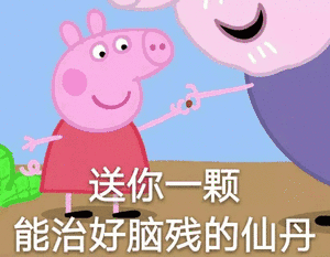 送你一颗能治好脑残的仙丹