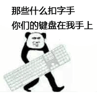 那些什么扣字手，你们的键盘在我手上