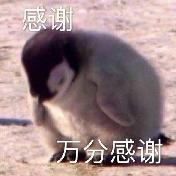 万分感谢