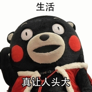 生活真让人头大