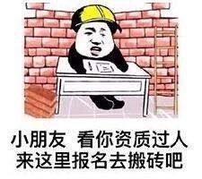 小朋友看你资质过人，来这里报名去搬砖吧