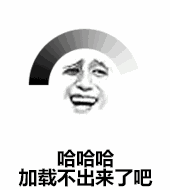 会哈哈哈，加载不出来了吧