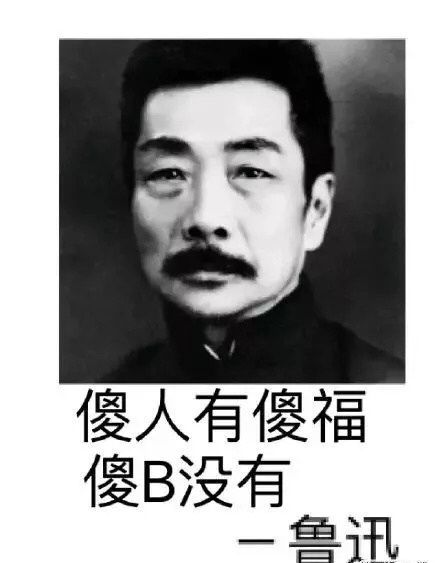 傻人有傻福傻B没有鲁讯