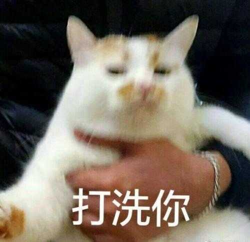 打洗你