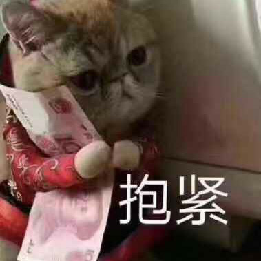 抱紧