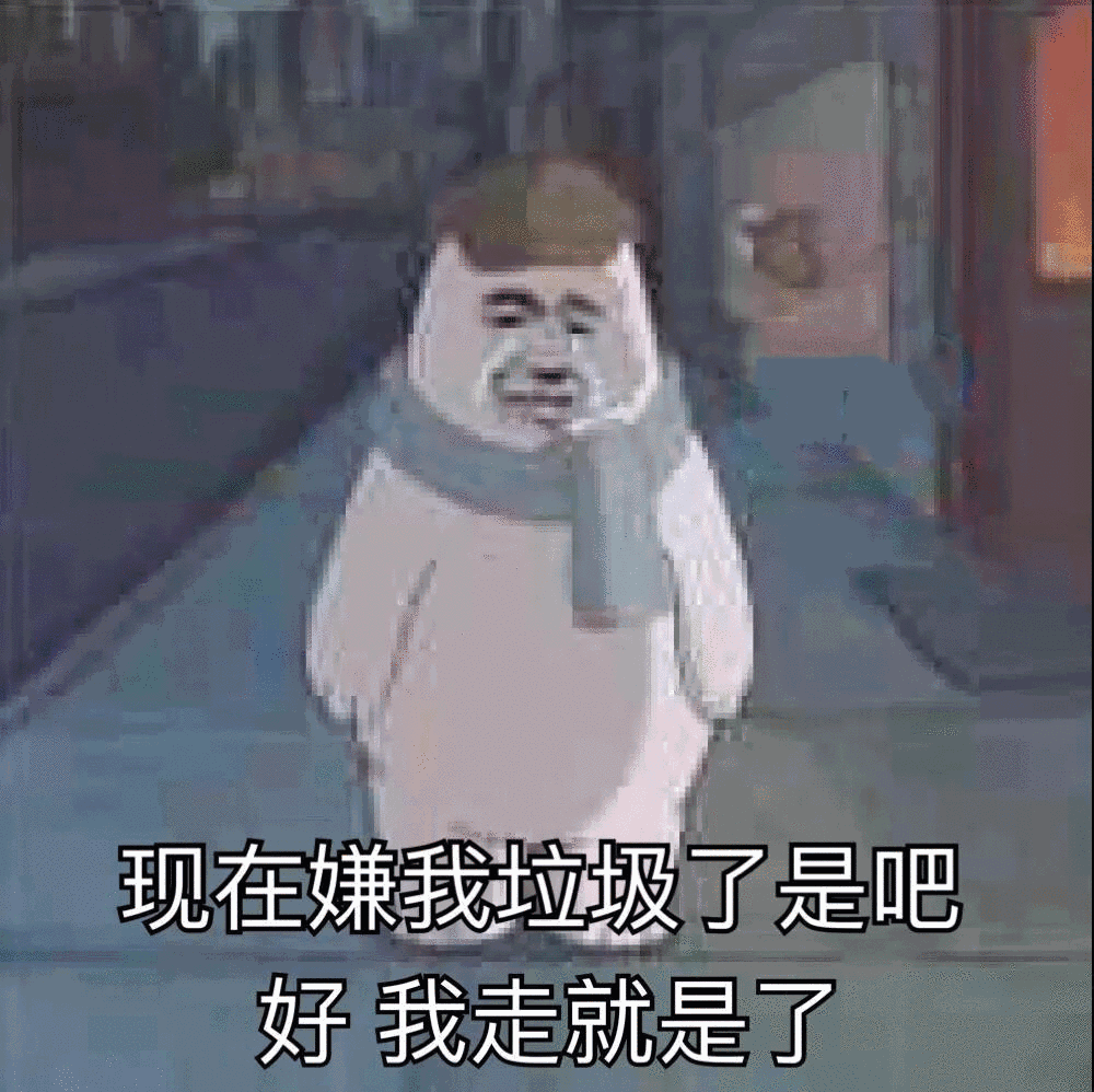 现在嫌我就垃圾了是吧好，我走就是了
