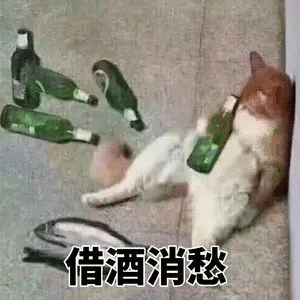 借酒消愁