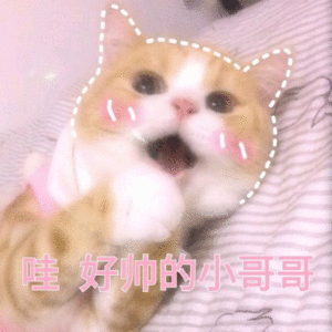 哇，好帅的小哥哥