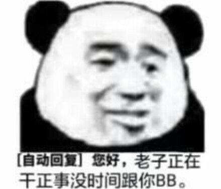 自动回复您好，老子正在干正事没时间跟你BB