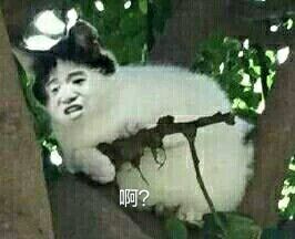 啊？