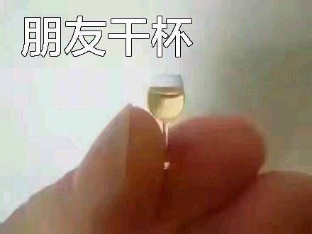 朋友干杯