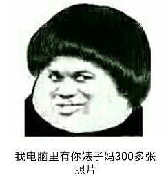 我电脑里有你婊子妈300多张照片