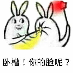 卧槽！你的脸呢？