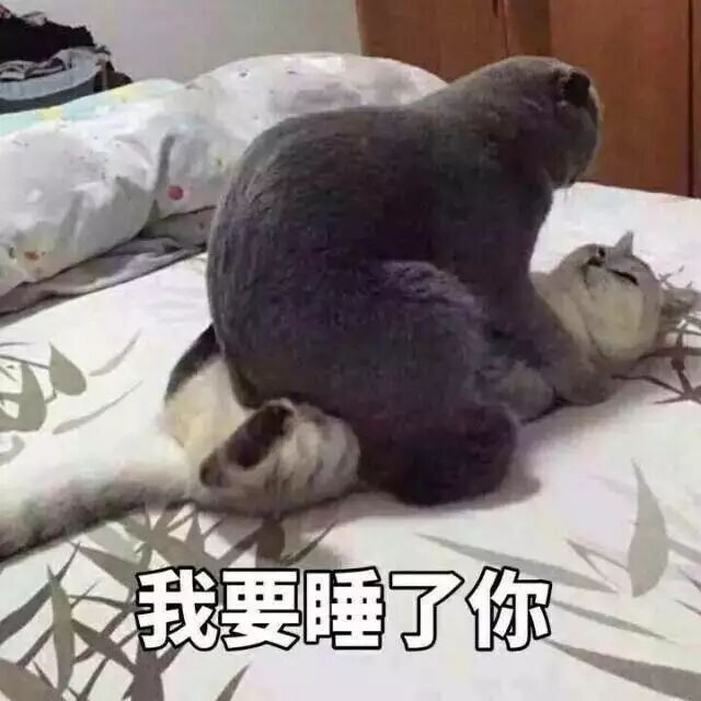 我要睡了你