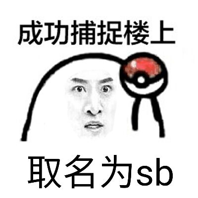 成功捕捉楼上取名为sb