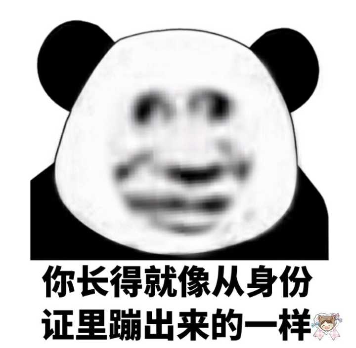 你长得就像从身份证里蹦出来的一样