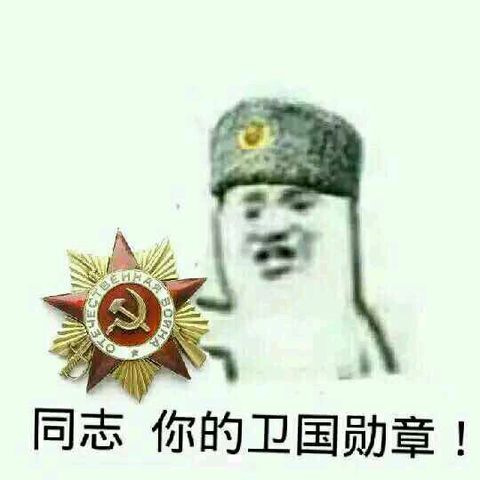 同志你的卫国勋章！