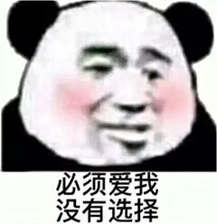 必须爱我没有选择