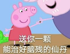 送你一颗能治好脑残的仙丹