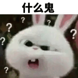 什么鬼？