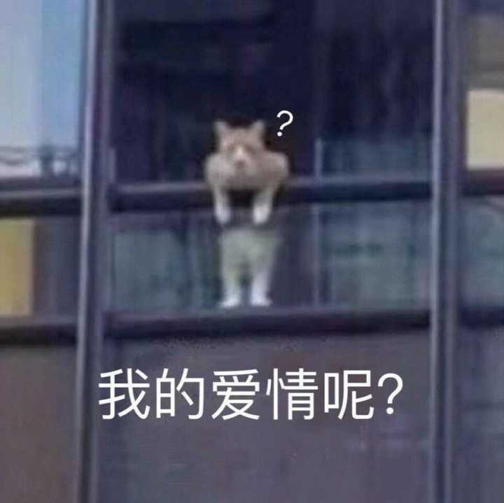 我的爱情呢？