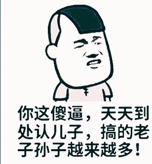 你这傻逼，天天到处认儿子，搞的老子孙子越来越多！