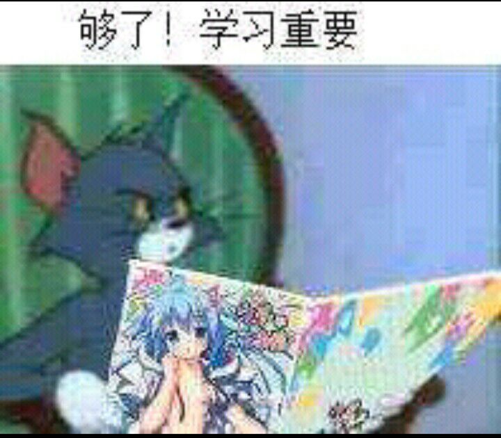 够了！学习重要