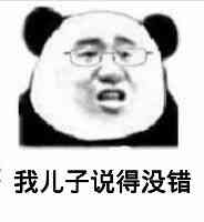 我儿子说得没错