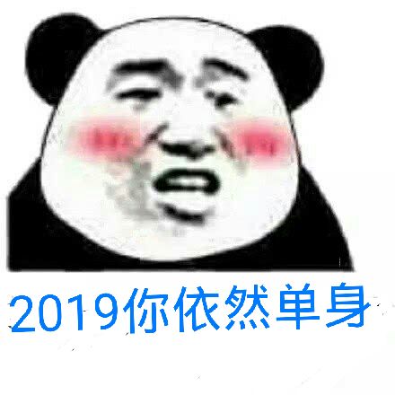 2019你依然单身