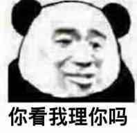 你看我理你吗