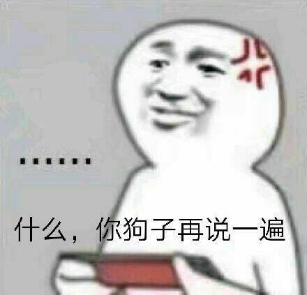 什么，你狗子再说一遍