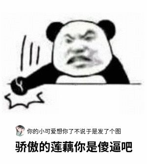 骄傲的莲藕你是傻逼吧