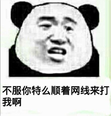 不服，你特么顺着网线来打我啊