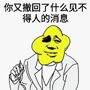 你又撤回了什么见不得人的消息