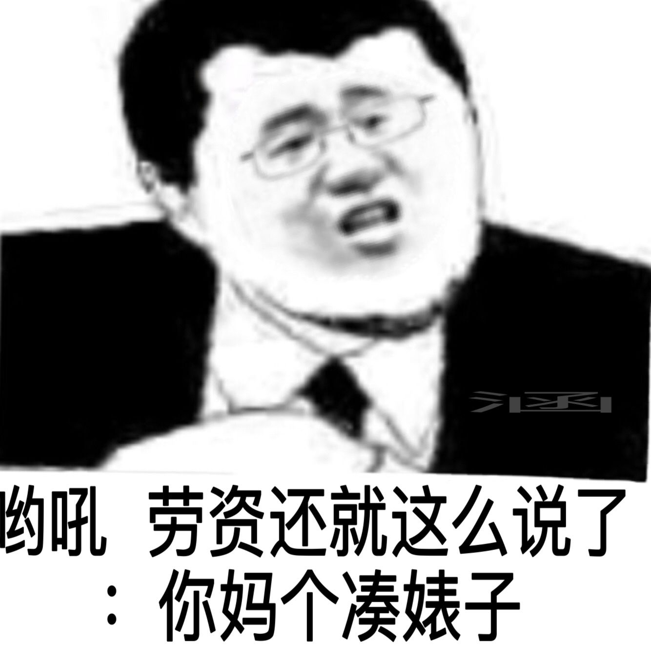 哟吼，劳资还就这么说了，你妈个凑婊子