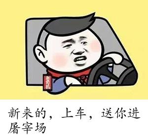 新来的，上车，送你进屠宰场