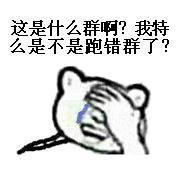 这是什么群啊？我特么是不是跑错群了？