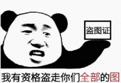 盗图，我有资格盗走你们全部的图