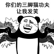 你们的三脚猫功夫，让我发笑