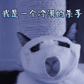 我是一个冷漠的杀手