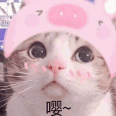 嘤