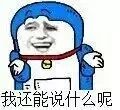 我还能说什么呢