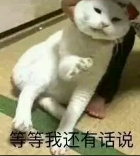 等等我述有话说
