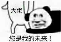 大佬您是我的未来！