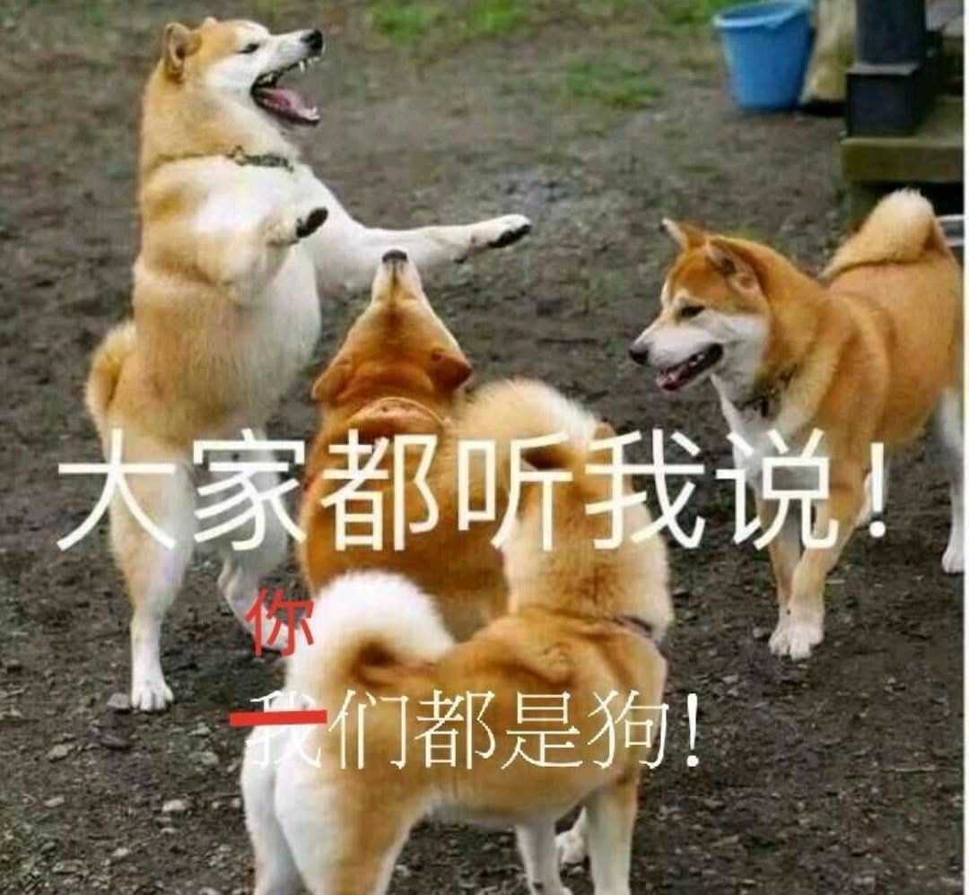 大家都听我说